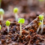 至尊赌场的魅力:为何玩家纷纷追逐高端赌局 b7t422udg