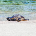 至尊国际平台的安全性与用户隐私保护措施详解 qhxe5u