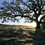 胜博娱乐:新手玩家必知的注册与充值指南 x09sv1jg1p